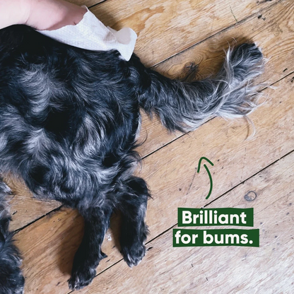 Bamboo Travel Wipes - Unscented - 20 Pack