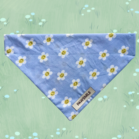 Smiling Daisies – Blauwe Daisy Bandana