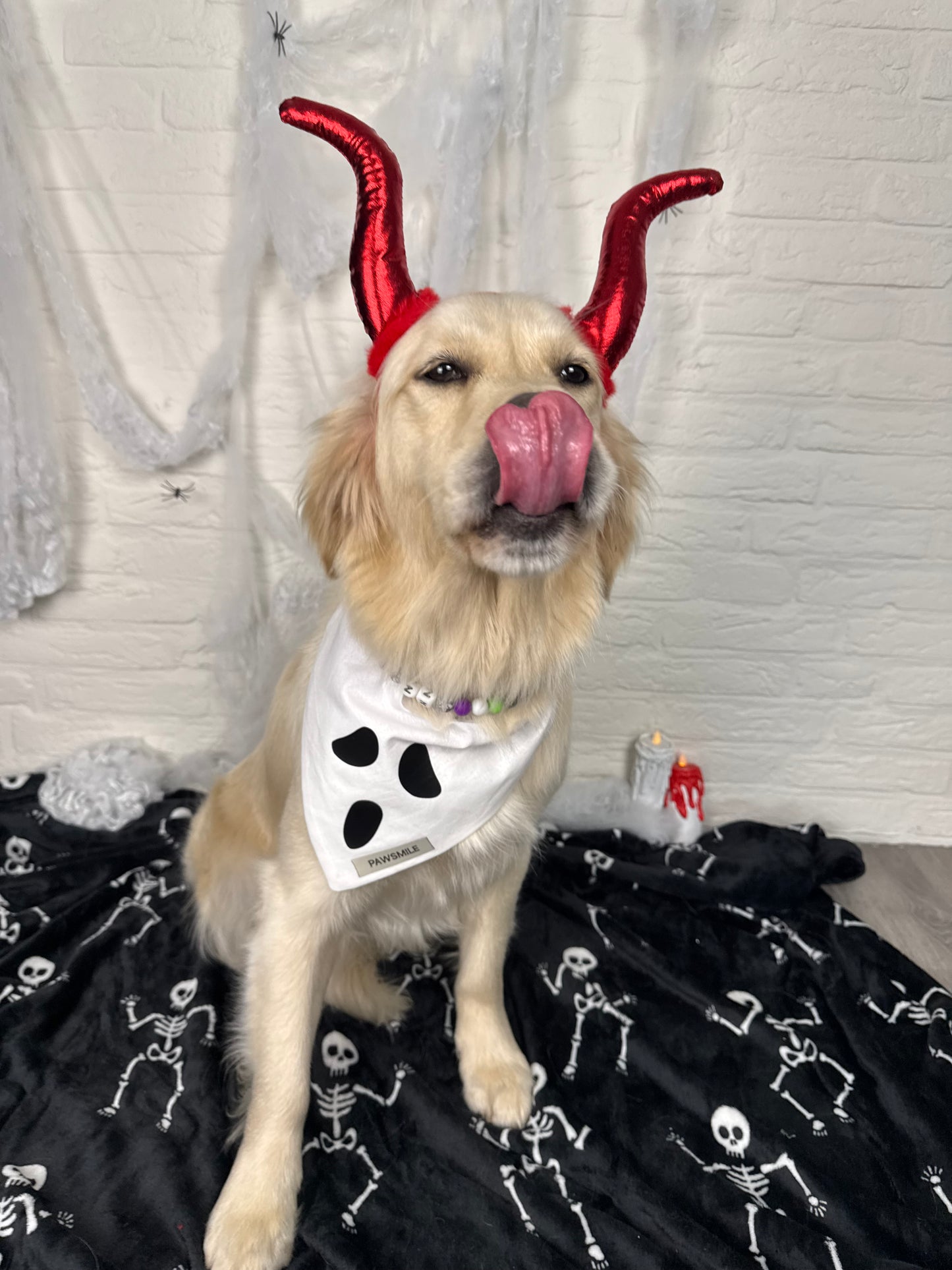 Spooky Paws – Halloween Bandana met Ghost Face