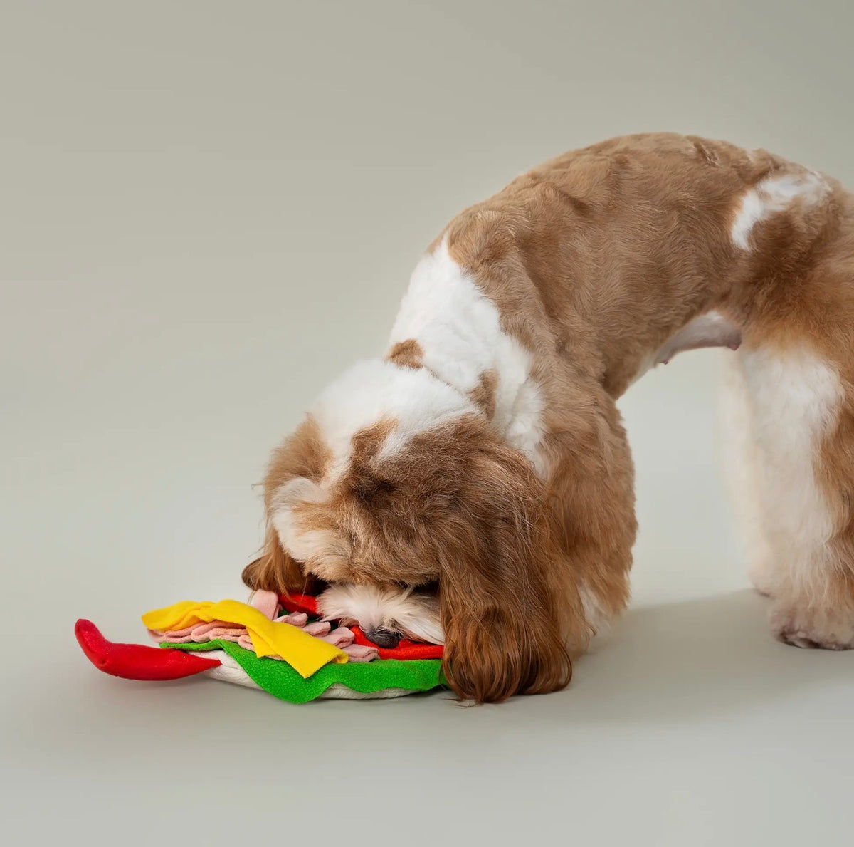 CHEWFFON Burrito Snuffelspeeltje