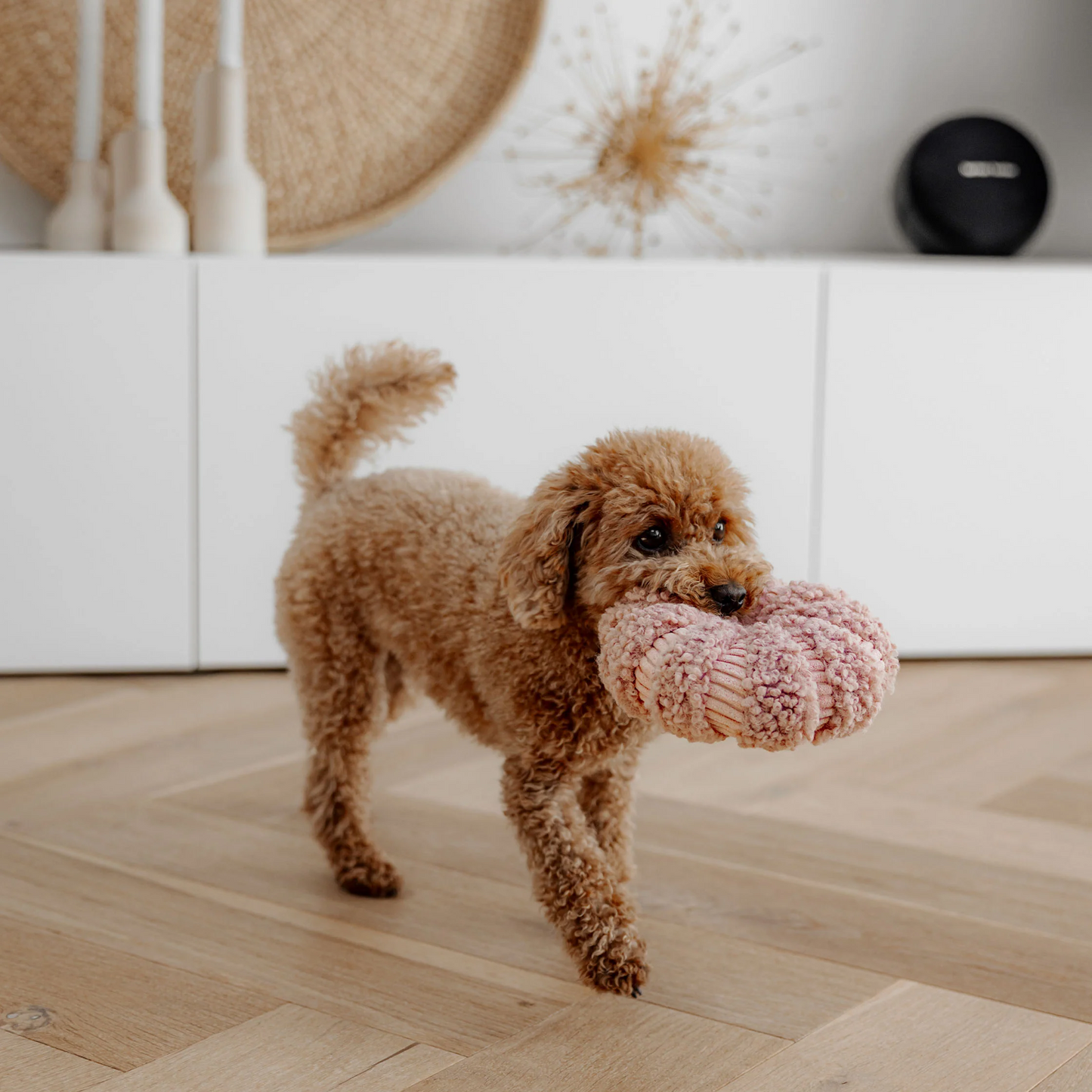 Daisy snuffelspeeltje