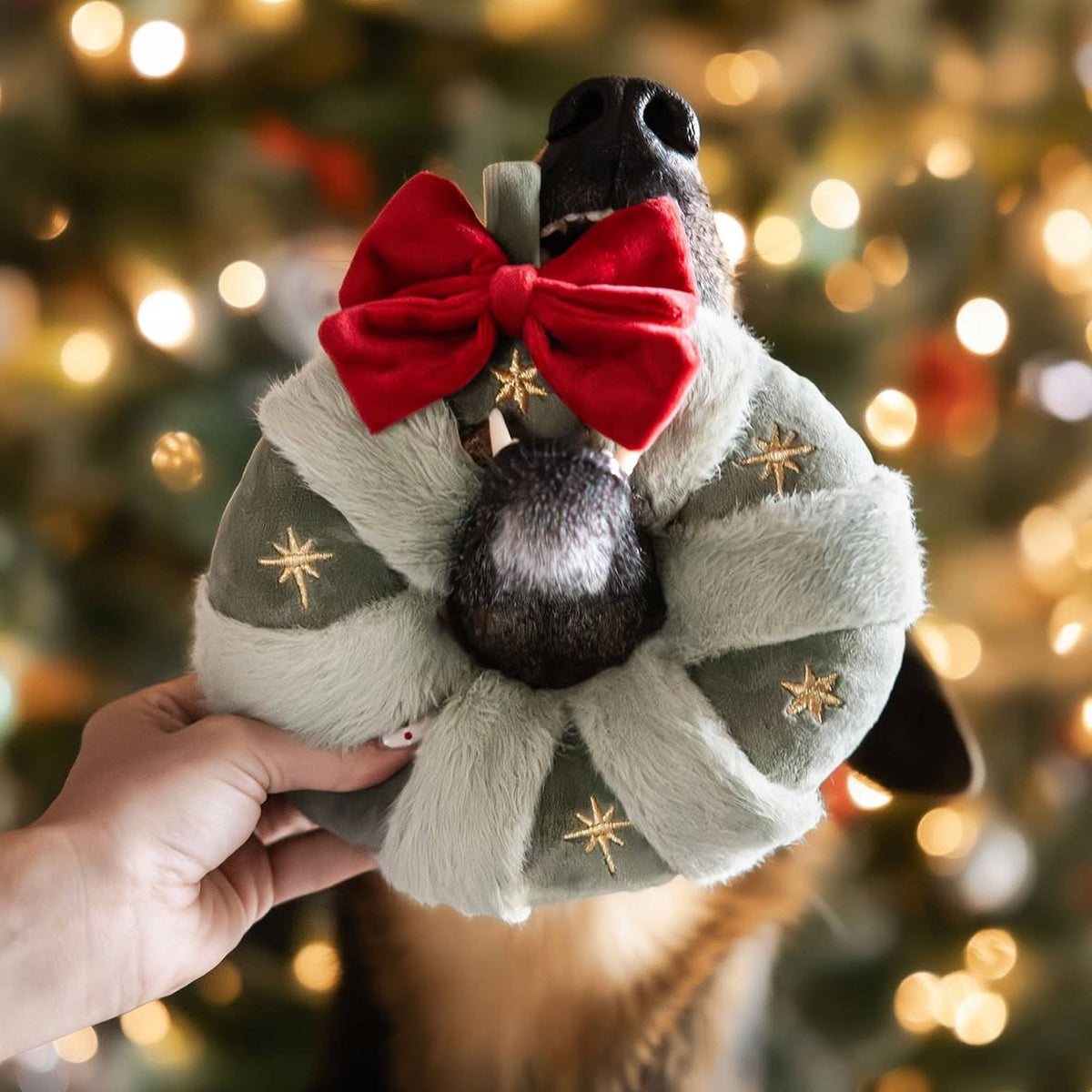Feestelijke kerstkrans neuswerk-speelgoed