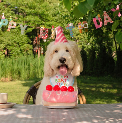 CHEWFFON Aardbeienrolcake Hond Puzzel Speelgoed