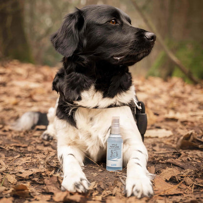 Hondenparfum Wild (Sandelhout)