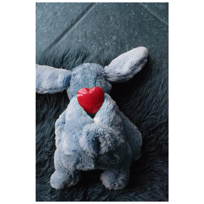 Cozy hondenspeeltje - Kalmerend en anti-stress!