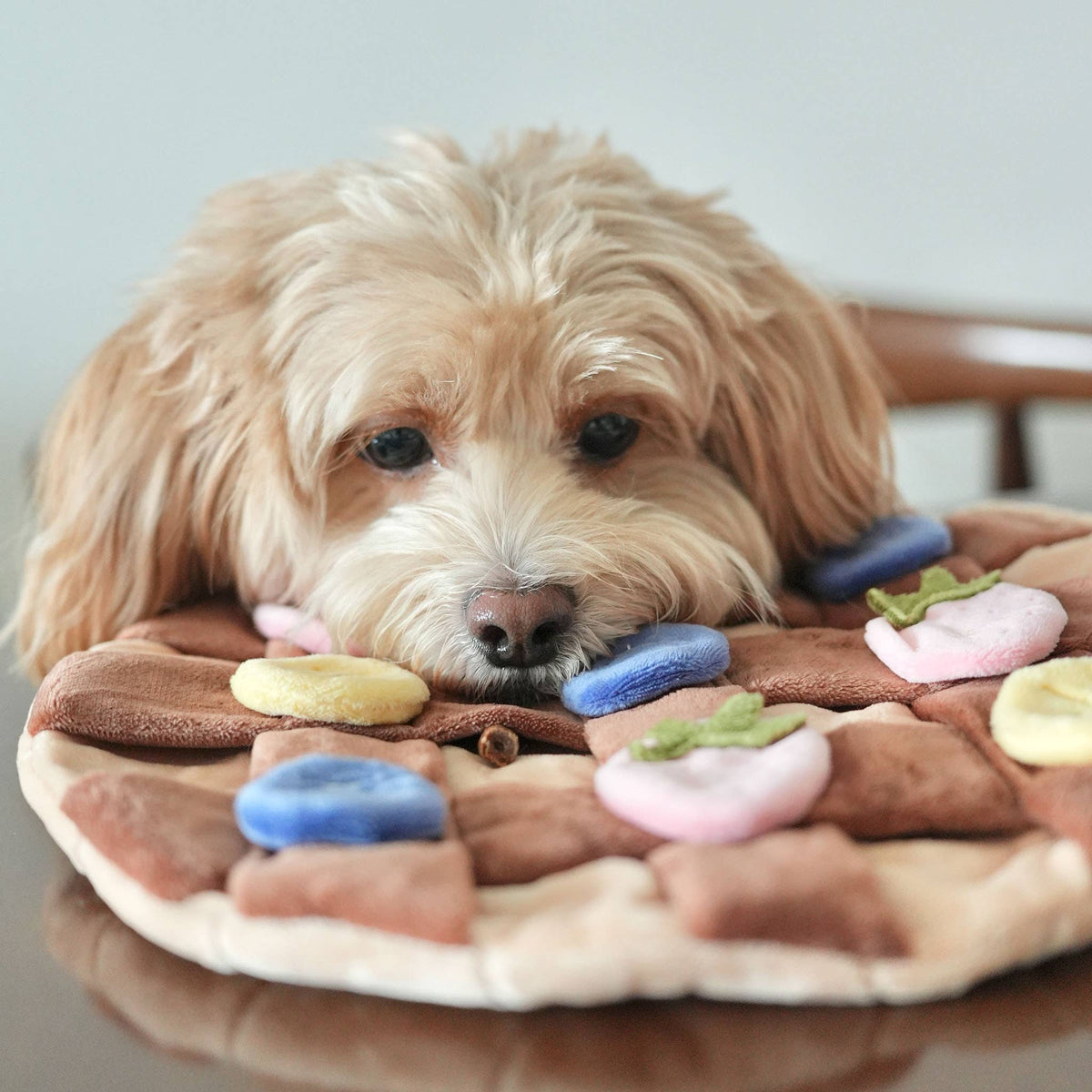Fruitige Verrukking Crêpe Snuffelmat