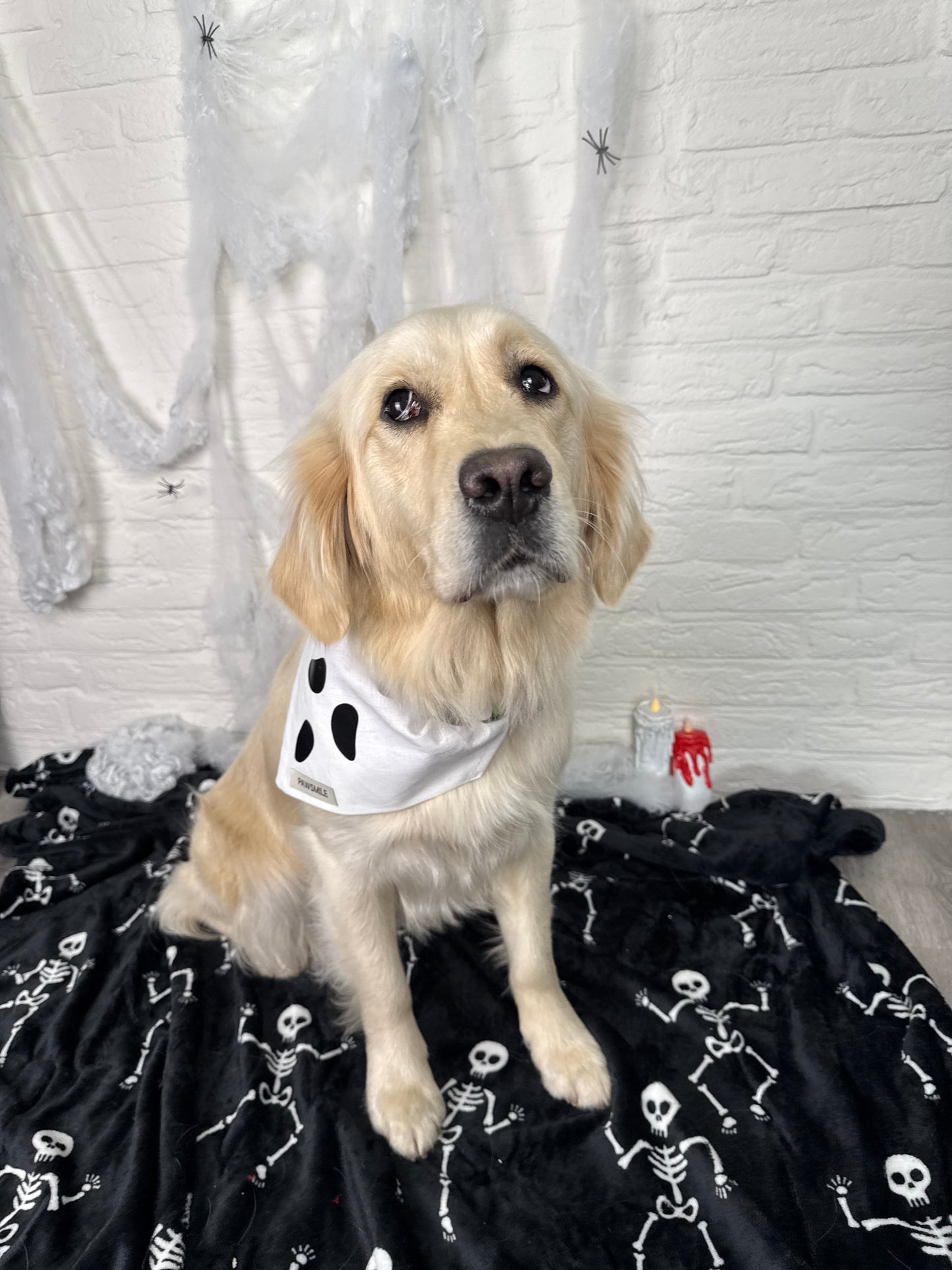 Spooky Paws – Halloween Bandana met Ghost Face