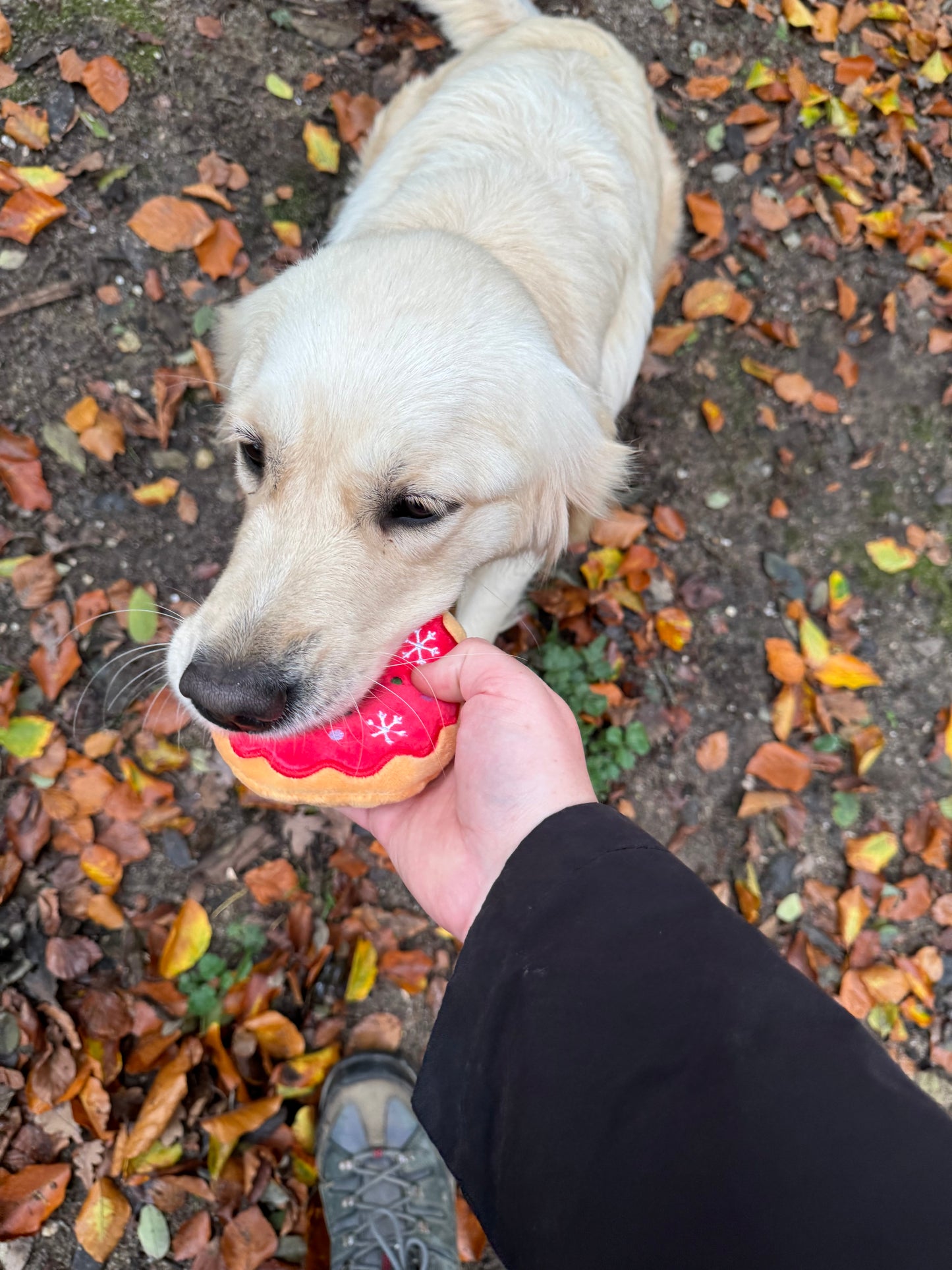 Groene Donut kerst hondenspeeltje