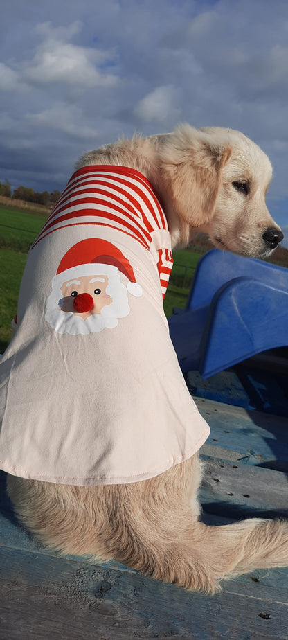 Kerstshirt voor honden met Kerstman
