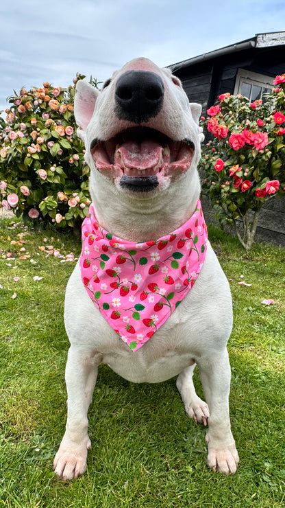 Strawberry fields - knoopbandana