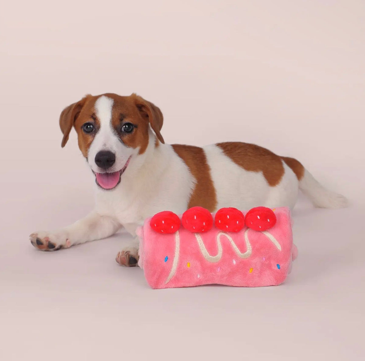 CHEWFFON Aardbeienrolcake Hond Puzzel Speelgoed