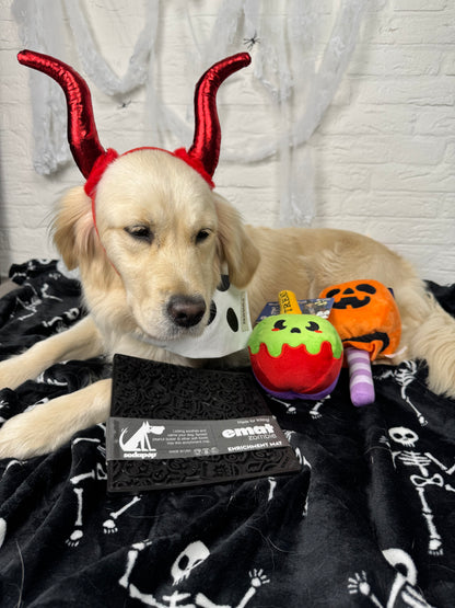 Pumpkin lollipop dog toy - Howloween