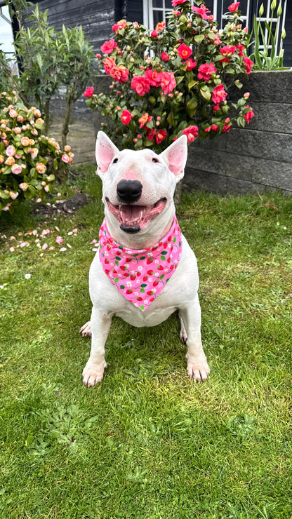 Strawberry fields - knoopbandana