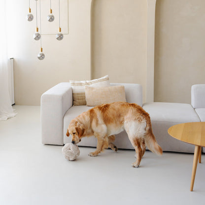 Bobby snuffelspeeltje