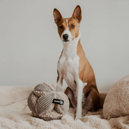 Bobby snuffelspeeltje Taupe