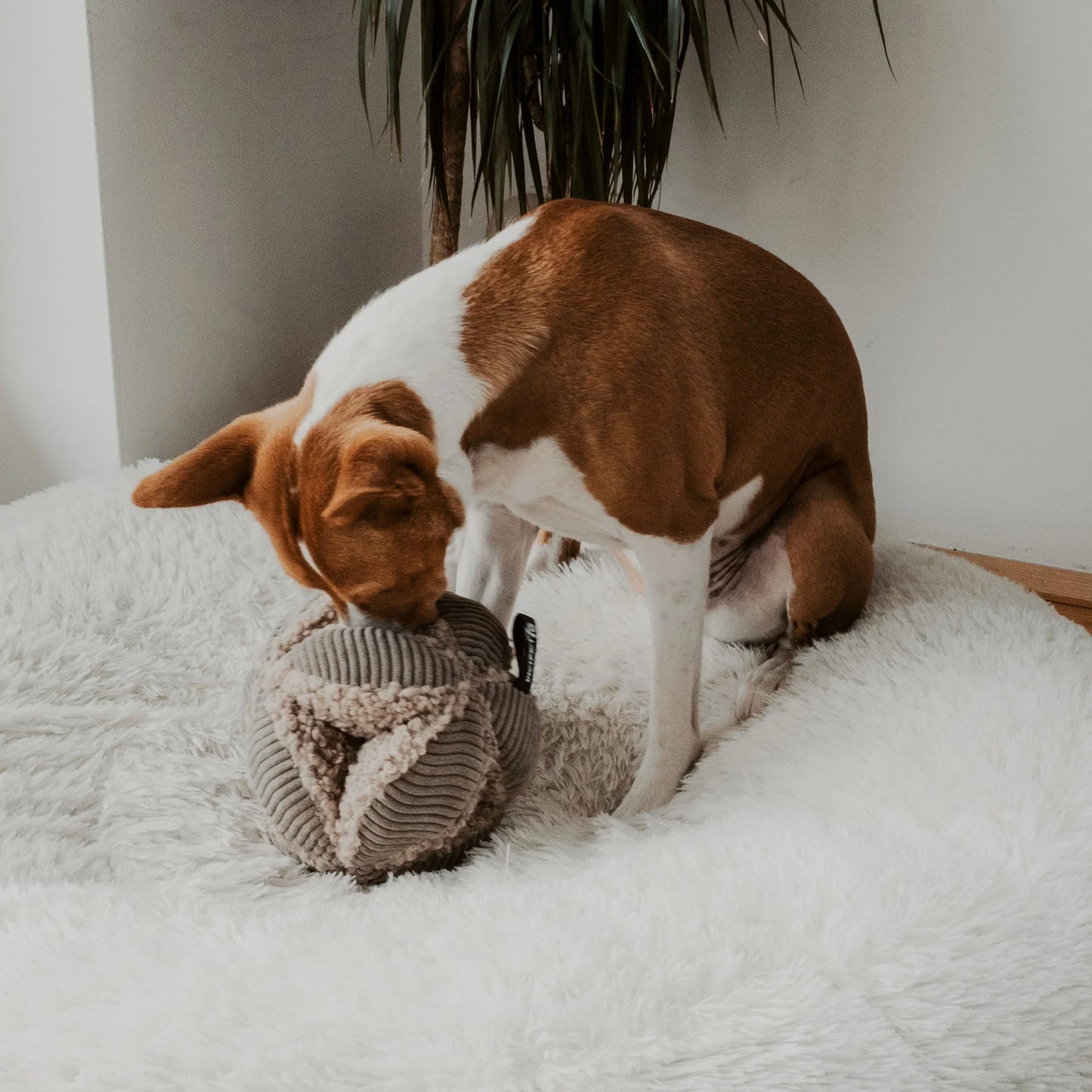 Bobby snuffelspeeltje Taupe