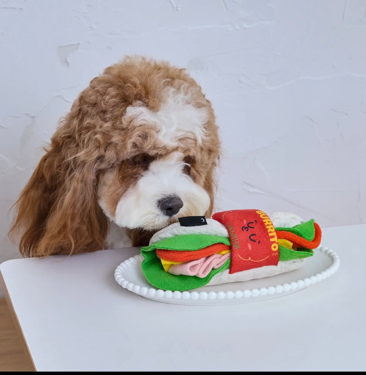 CHEWFFON Burrito Snuffelspeeltje