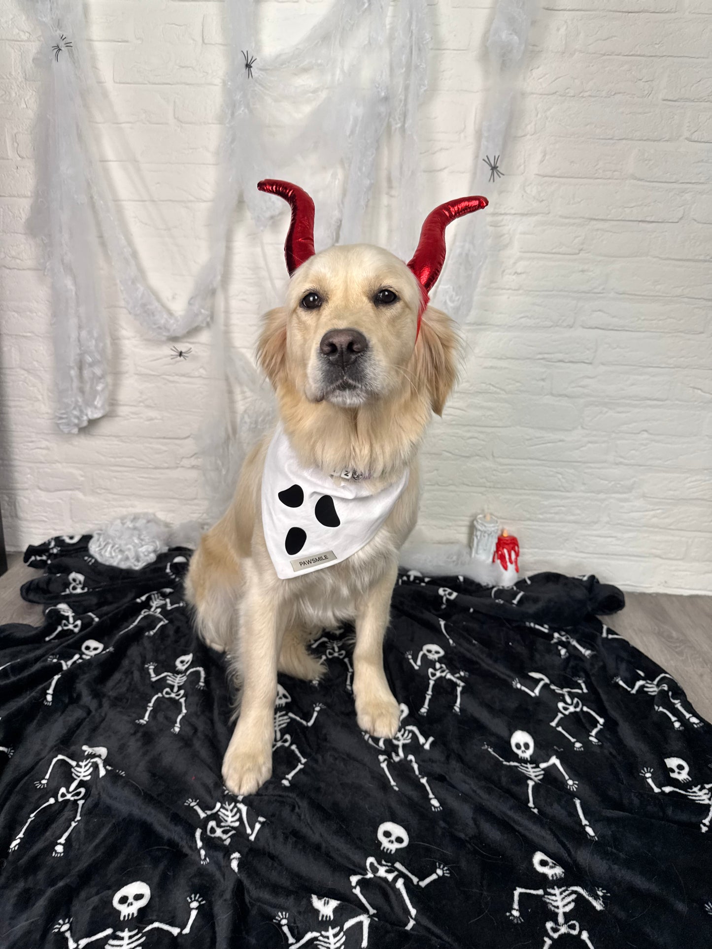 Spooky Paws – Halloween Bandana met Ghost Face