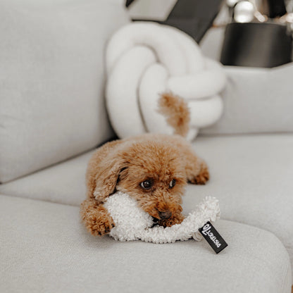 Chuck hondenspeeltje Merengue