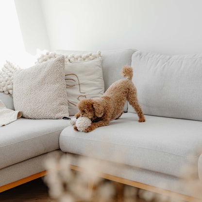 Chuck hondenspeeltje Pink