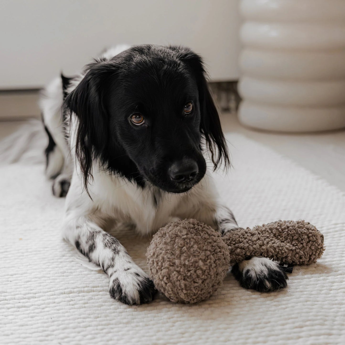 Chuck hondenspeeltje Pink