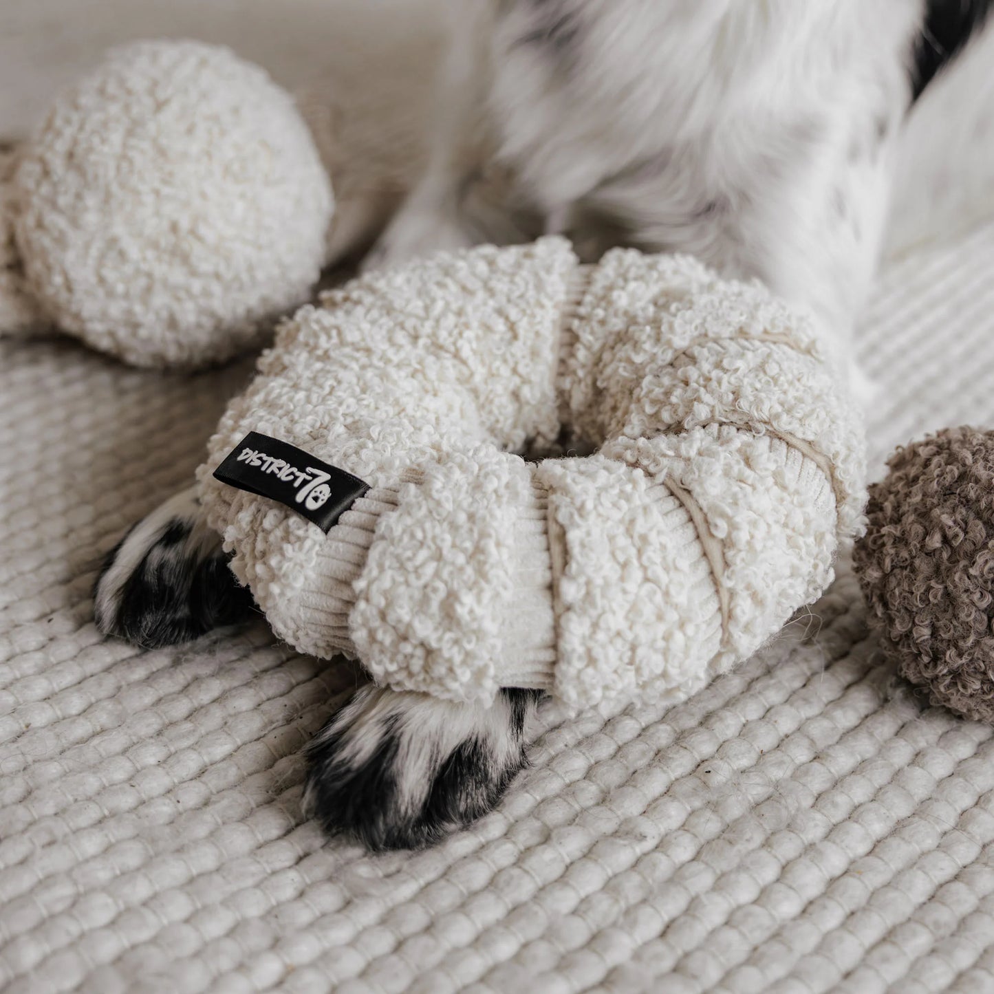 Daisy snuffelspeeltje Merengue