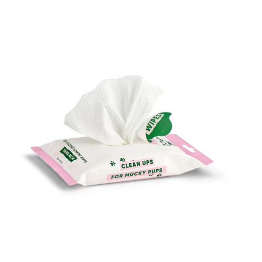 Bamboo Travel Wipes - Coconut Scented - 20 Pack