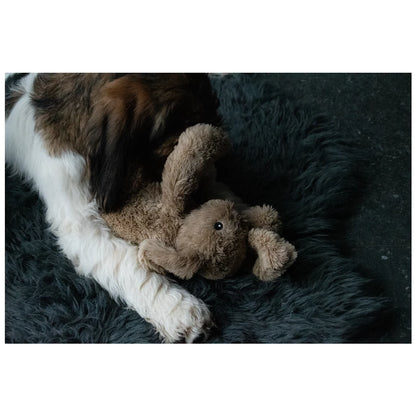 Cozy hondenspeeltje - Kalmerend en anti-stress!