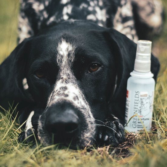 Hondenparfum Wild (Sandelhout)