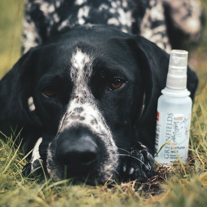 Hondenparfum Wild (Sandelhout)