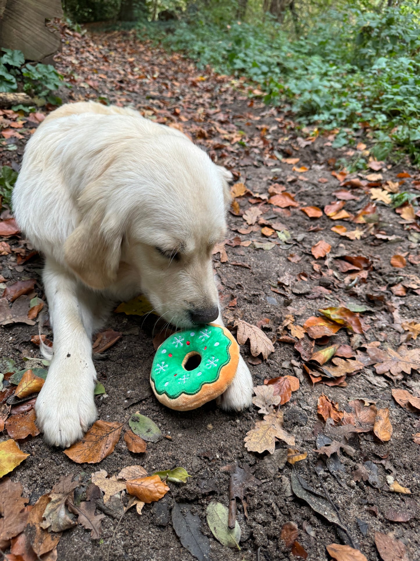 Groene Donut kerst hondenspeeltje