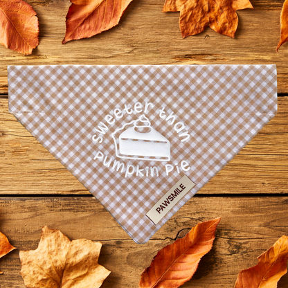 Pumpkin Spice – Herfst Bandana met Ruitjes & Pumpkin Spice Print