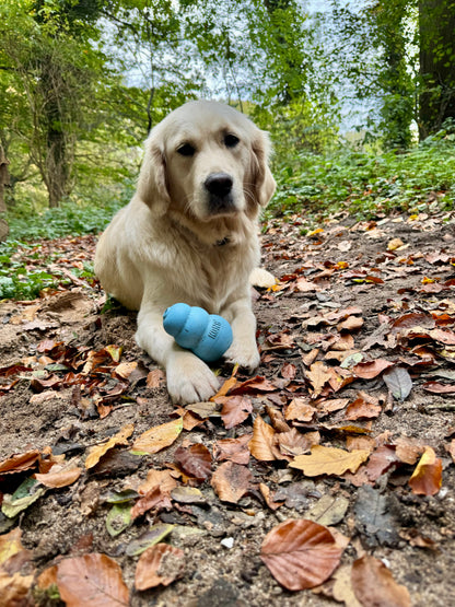 Kong Puppy L Pink/Blue