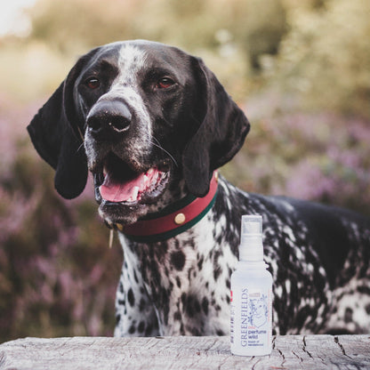 Hondenparfum Wild (Sandelhout)