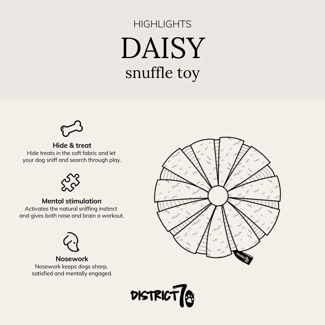 Daisy snuffelspeeltje