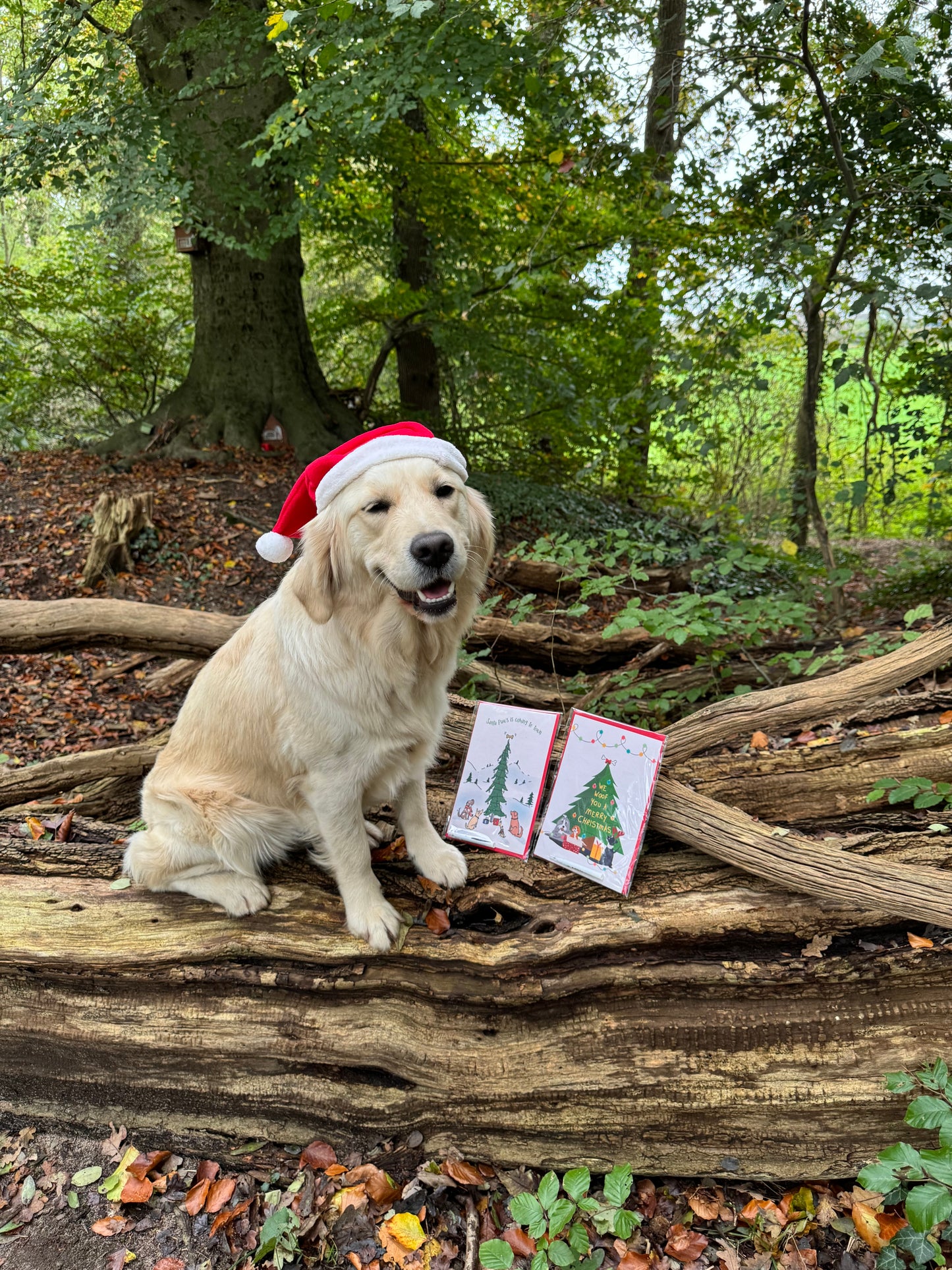 Eetbare kerstkaart - We woof you a merry Christmas - SALE