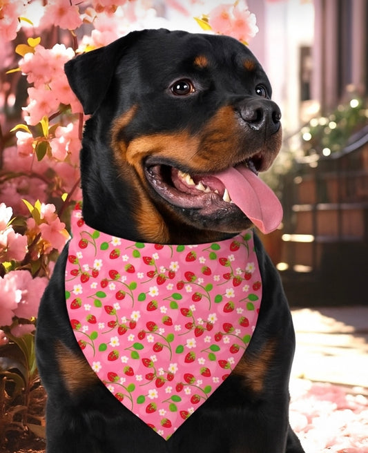 Strawberry fields - knoopbandana