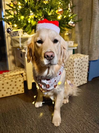 Winterbeertjes bandana