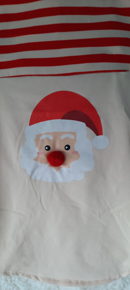 Kerstshirt voor honden met Kerstman
