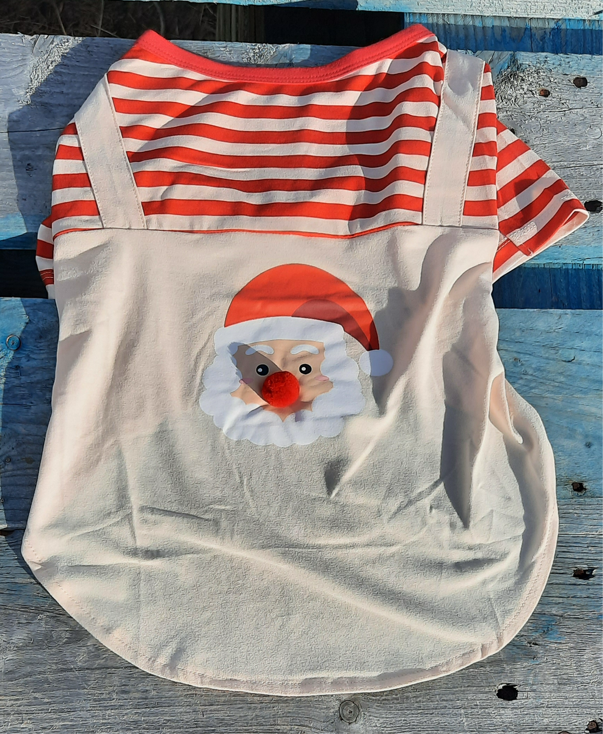 Kerstshirt voor honden met Kerstman