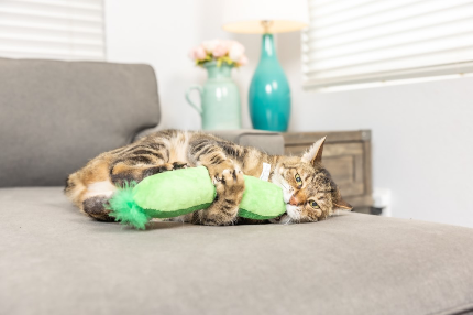 Pickle - Kittybelles Kicker