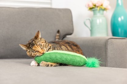 Pickle - Kittybelles Kicker
