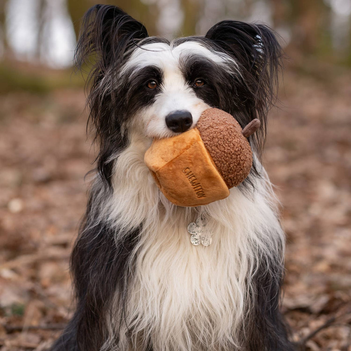 CHEWFFON Eikel Snuffel- en Piepspeelgoed voor Honden