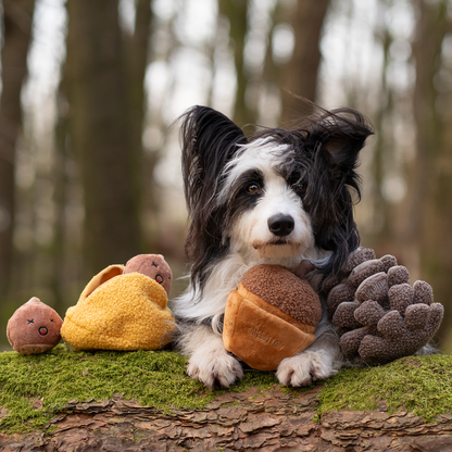 CHEWFFON Eikel Snuffel- en Piepspeelgoed voor Honden