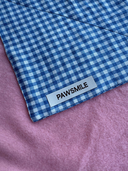 Blueberry Picnic – Blauwe Geruite Bandana