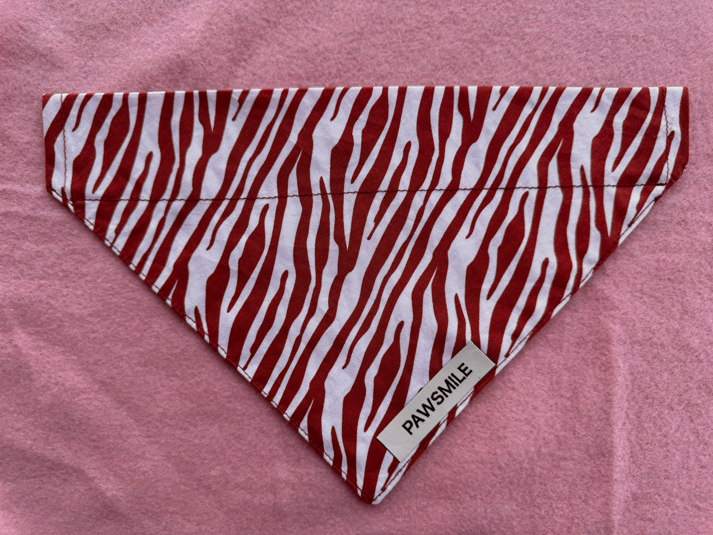Wild Whiskers – Bandana met Terracotta Print