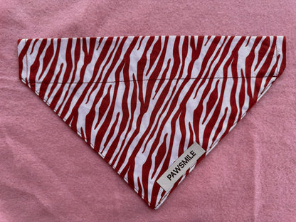 Wild Whiskers – Bandana met Terracotta Print