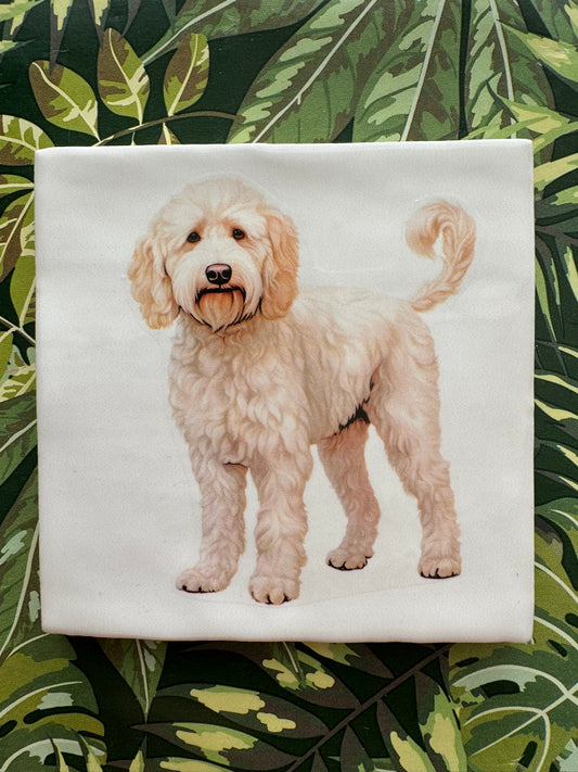 Bernedoodle pup zwart Tegeltje – Cadeau voor Dog Parents