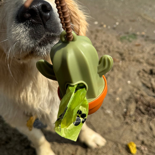 Cactus - Poepzakhouder