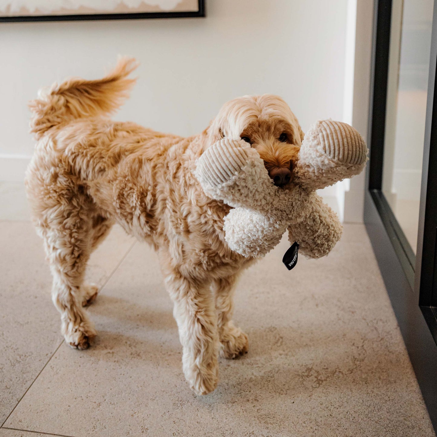 Ziggy hondenspeeltje Taupe